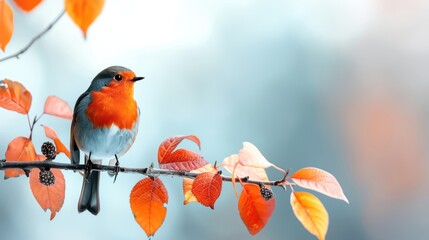 Colorful robin bird perched on a branch with orange leaves. Perfect for autumn-themed designs or nature-inspired stock photos.