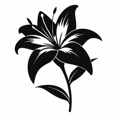 Lilyes Black silhouette