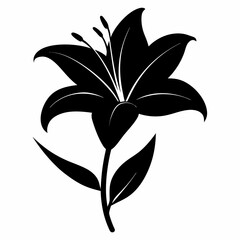 Lilyes Black silhouette