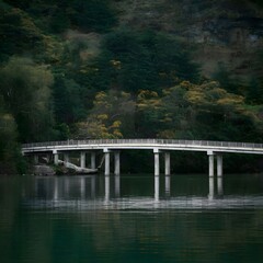 Bridge over River in the Forest