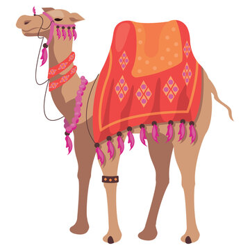 bikaner camel festival in india