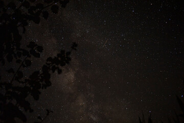 STARRY SKY WITH THE MILKY WAY