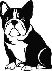 bulldog black silhouette logo SVG vector, bulldog icon illustration