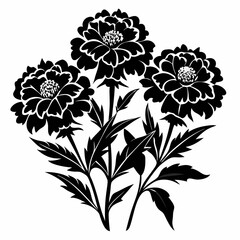 Marigold Black silhouette