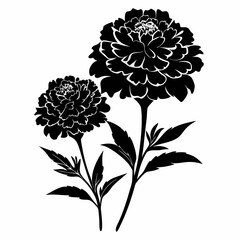 Marigold Black silhouette