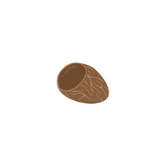 Kluwek Or Pangium Edule Illustration