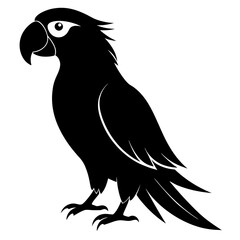 Macaw isolated on white background, Macaw vector illustration, bird on a branch vector art, Macaw silhouette, bird vector icon, Macaw on a branch line art, eps