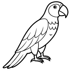 Macaw isolated on white background, Macaw vector illustration, bird on a branch vector art, Macaw silhouette, bird vector icon, Macaw on a branch line art, eps