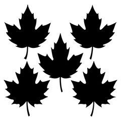 
Set of maple leaf vector illustrations, Autumn red maple leaves silhouettes, Autumn red maple icon set.