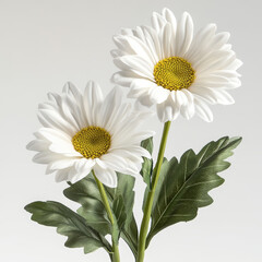 Naklejka premium high-definition, photograph, blooming flowers, detailed, roses, tulips, orchids, sunflowers, lotuses, jasmine, lilies, daisies, cherry blossoms, peonies, crinum lilies