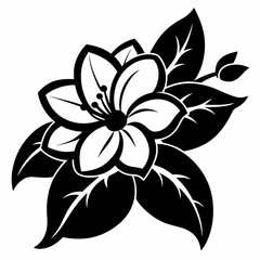 Jasmine Flower Black silhouette
