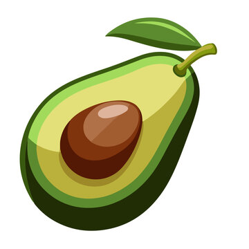 green avocado cut open with seed clip art preview
