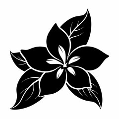 Jasmine Flower Black silhouette