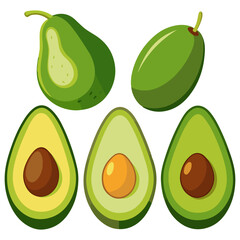 Set of Green realistic fresh whole and half avocado Vector illustration, whole and slice with corn avocado outline, alligator or avocado pear icon set.
