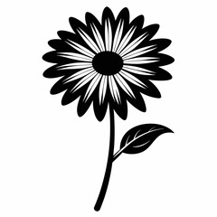 Daisy Black silhouette