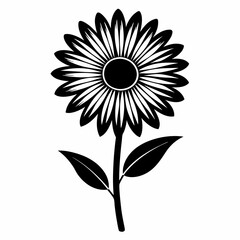 Daisy Black silhouette