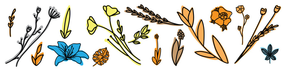 Wildflowers vector illustration set. Isolated flowers and leaves.