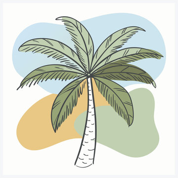 Stunning Vector Illustration of the Unique Bacaba Palm