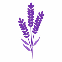 Obraz premium Lavender Black silhouette