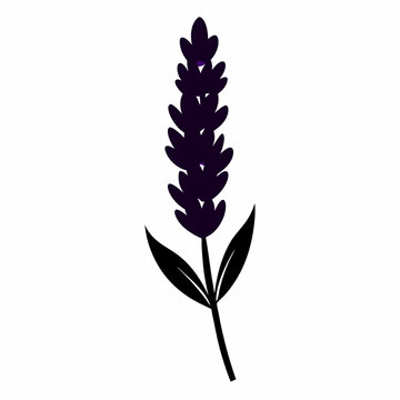 Lavender clip art preview