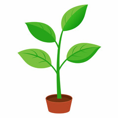 Young plant art vector illustration