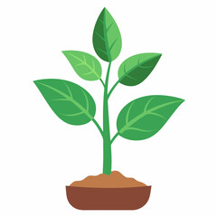 Young plant art vector illustration