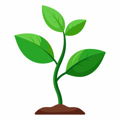 Young plant art vector illustration