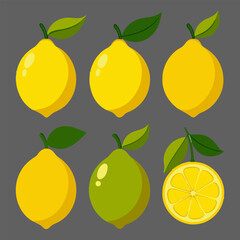 Vector illustrations of fresh lemon fruits and leaves, lemon slices, and outline of leaves. Also, includes a set of lemon fruit icons.