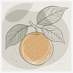 Juicy Orange Vector Illustration with Vibrant Details