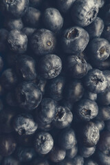 Many a lot of ripe juicy mature blueberries as superfood pattern.Healthy sweet food eating.Vertical format