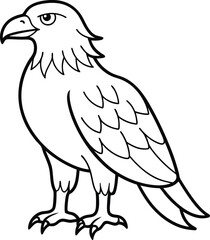 Eagle line art coloring page template