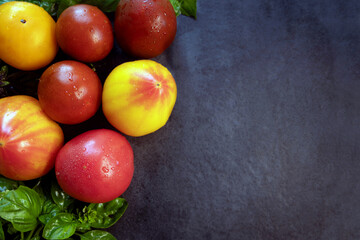Fresh heirloom tomatoes with basil on a dark background. A vibrant assortment of heirloom tomatoes in various colors, including red, yellow, and orange, is displayed on a dark slate surface. Top view