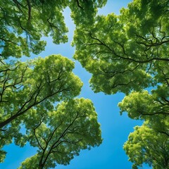 Fototapeta premium A Verdant Tapestry Under a Blue Sky