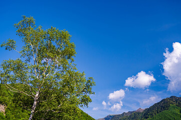 さわやかな夏の木曽駒高原