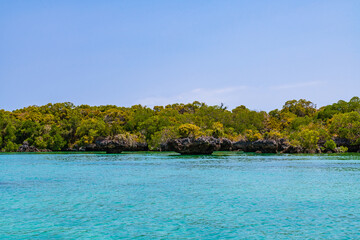 View on rocks and mangroves in the lagoon of Kwale island in south of Zanzibar, Tanzania