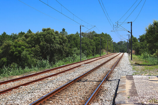 Two parallel railway tracks running through a wooded area, with trees around