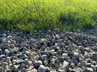 grass and stones