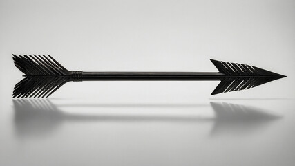 A sleek black arrow with finely detailed fletching on a simple white background casting a shadow.