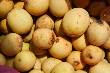 Ripe duku fruit. duku fruit in pink sack with leaves isolated on white. With clipping path. Full depth of field.