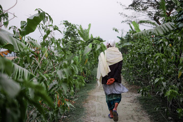 Elderly rural person walking in a banana garden 