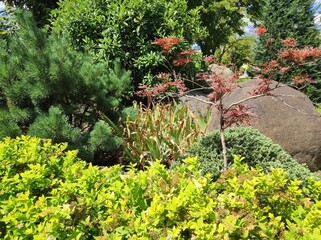 Rockery, rock-garden, trees, bushes, pine, stone