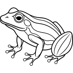 Naklejka premium Detailed Line Art of a Frog
