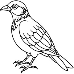 Obraz premium Detailed Line Art Illustration of a Bird
