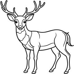 Obraz premium Detailed Line Art Illustration of a Majestic Deer