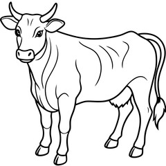 Fototapeta premium Detailed Line Art of a Cow Illustration