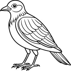 Fototapeta premium Detailed Line Art Illustration of a Bird