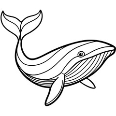 Fototapeta premium Detailed Line Art Illustration of a Whale