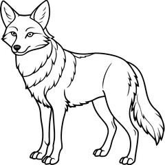 Detailed Line Art of a Coyote