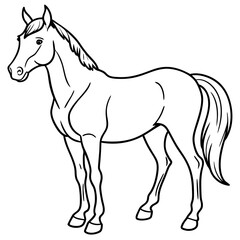 Obraz premium Detailed Line Art Illustration of a Horse