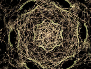 Imaginatory fractal abstract background Image